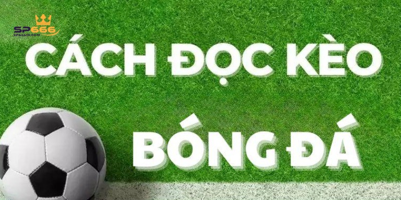 Cách Đọc Kèo Nhà Cái SP666, Cập Nhật Mẹo Mới Nhất Năm 2025 1 Hiểu rõ 3 loại kèo trong cách đọc kèo nhà cái
