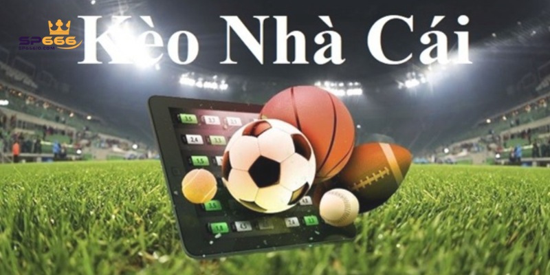 Cách Đọc Kèo Nhà Cái SP666, Cập Nhật Mẹo Mới Nhất Năm 2025 3 Cách đọc kèo tài xỉu dễ nắm bắt nhất