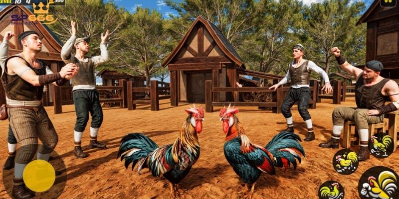 Đá Gà SP666 - Sảnh Chơi Đỉnh Cao Của Các Chiến Kê Kiêu Hùng 1 Đá gà SP666 đa dạng và kịch tính