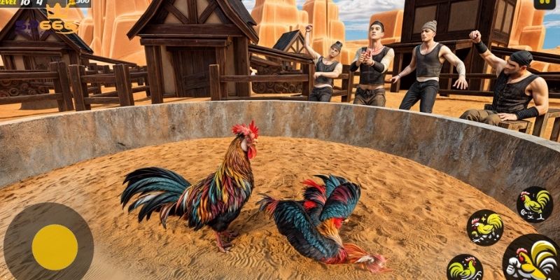 Đá Gà SP666 - Sảnh Chơi Đỉnh Cao Của Các Chiến Kê Kiêu Hùng 2 Đá gà tại đây hợp tác với nhiều nhà cung cấp danh tiếng