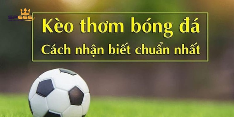 Kèo Thơm Là Gì? 5 Cách Nhận Biết Và Lựa Chọn Kèo Thơm Chuẩn 1 Kèo thơm là gì?