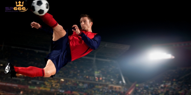 Các bộ môn cá cược thể thao hàng đầu hiện nay